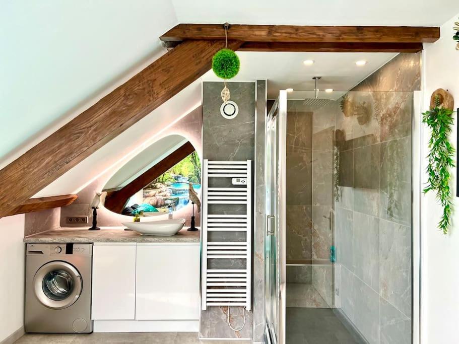 Natural Suite - Proche Gare - 4P Belfort Exterior foto